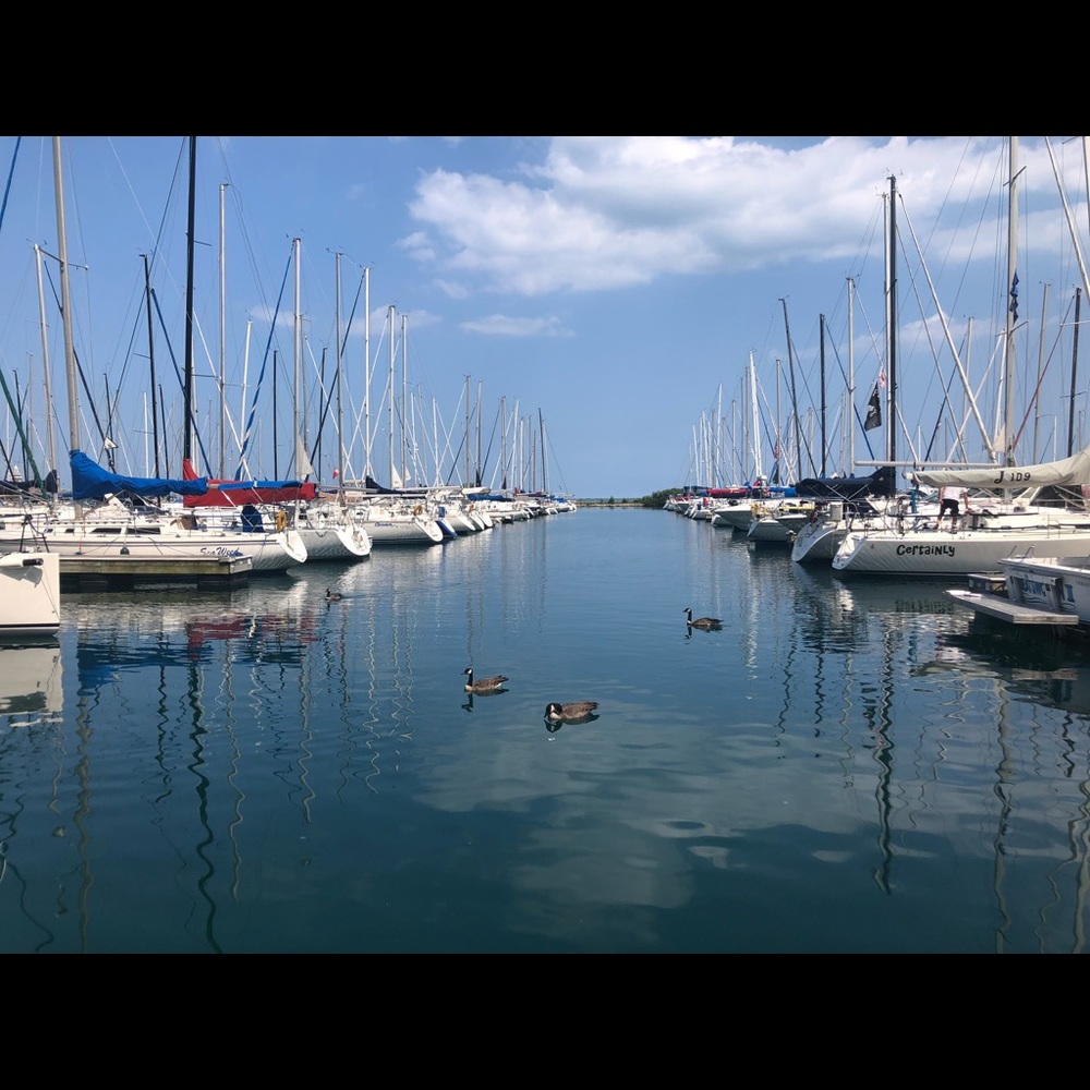 Meet your Posher, Catelyn